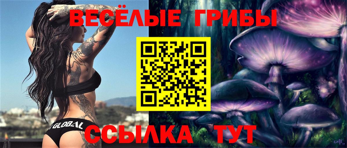Галлюциногенные грибы Psilocybine cubensis  где найти наркотики  Галлюциногенные грибы GOLDEN TEACHER  Киселёвск  Вход с VPN 